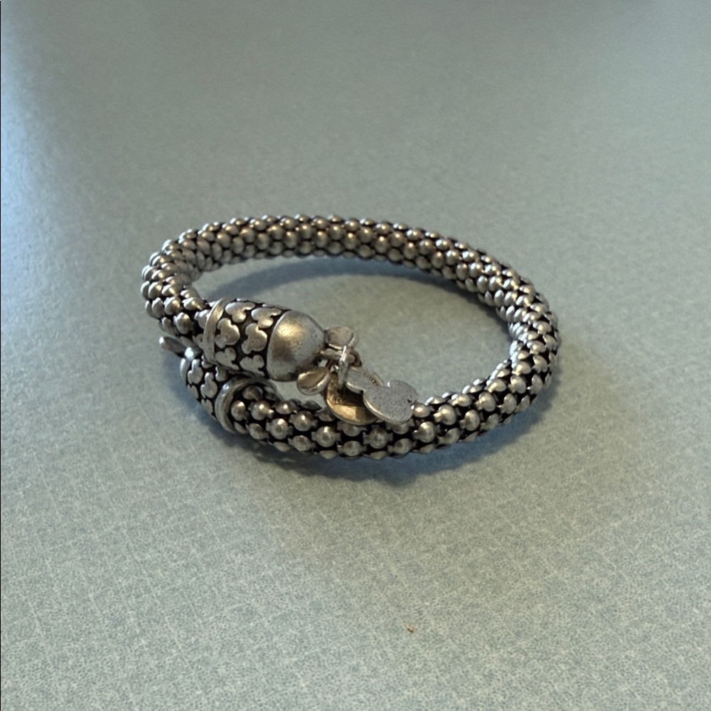 Disney - Alex and Ani Silver Textured Bracelet